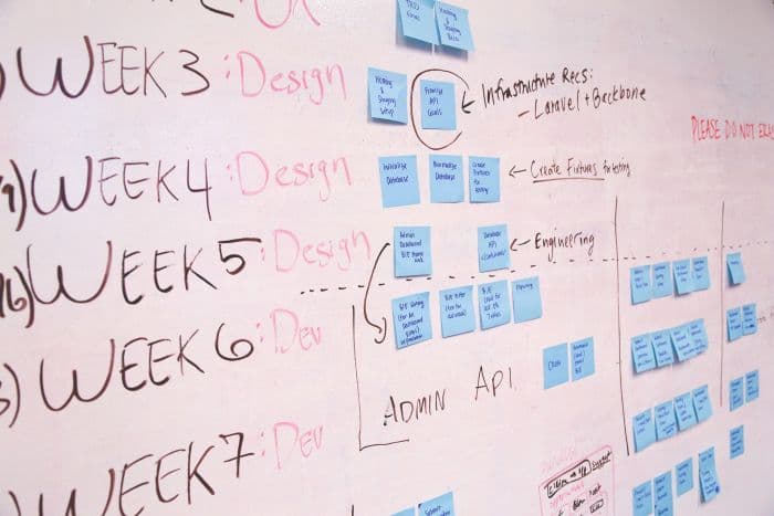 Project Management for Public Sector & Donor Projects
