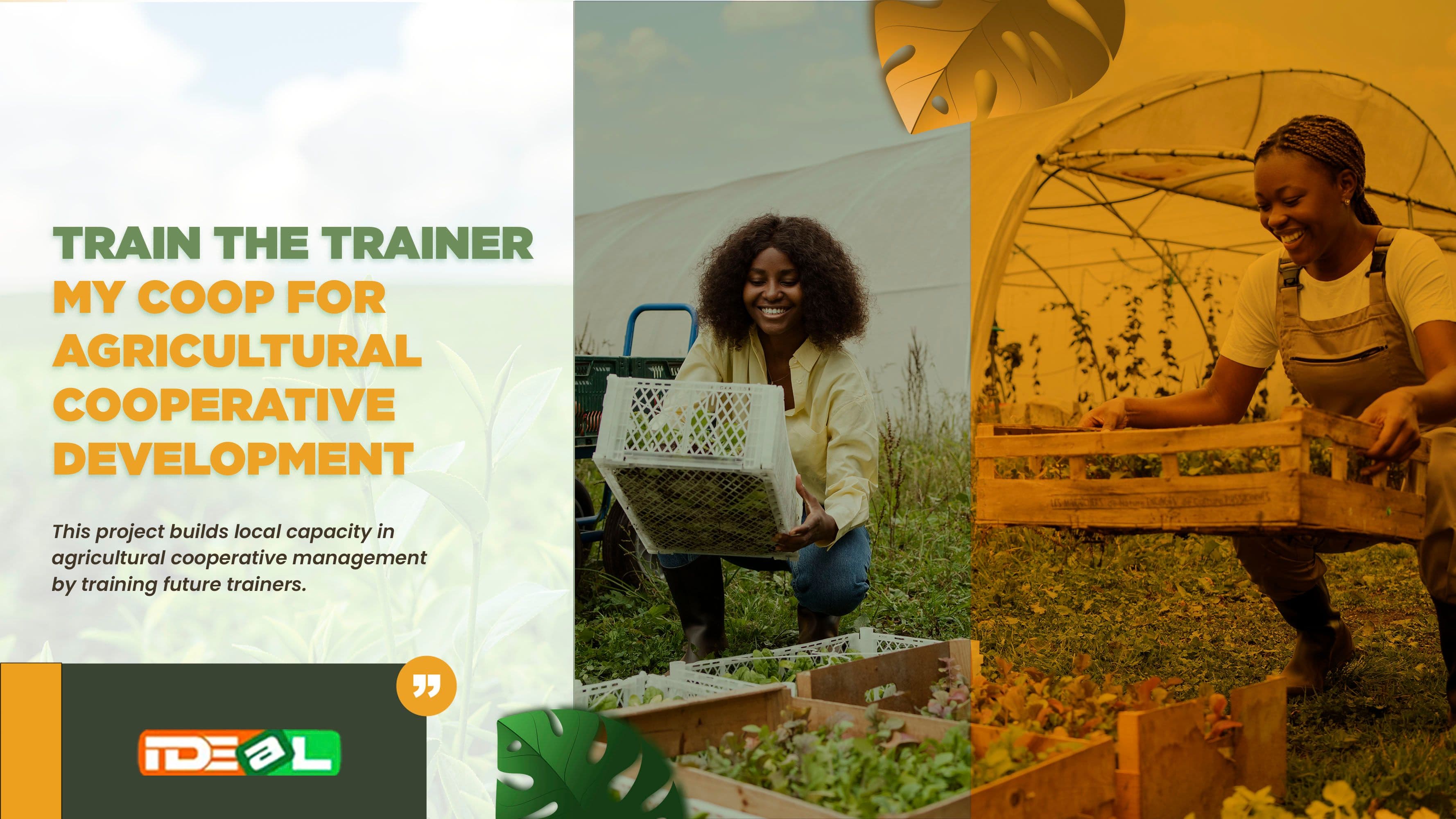 Train-the-Trainer: My.COOP for Agricultural Cooperative Development